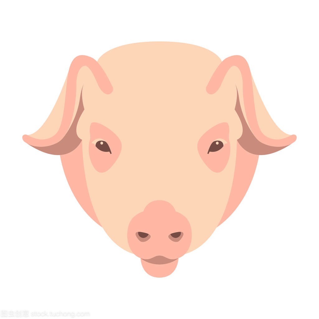 猪脸矢量图